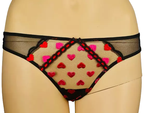 Victorias Secret Dream Angels Embroidered Heart Mesh Thong Panty Xs S M L Xl Nwt