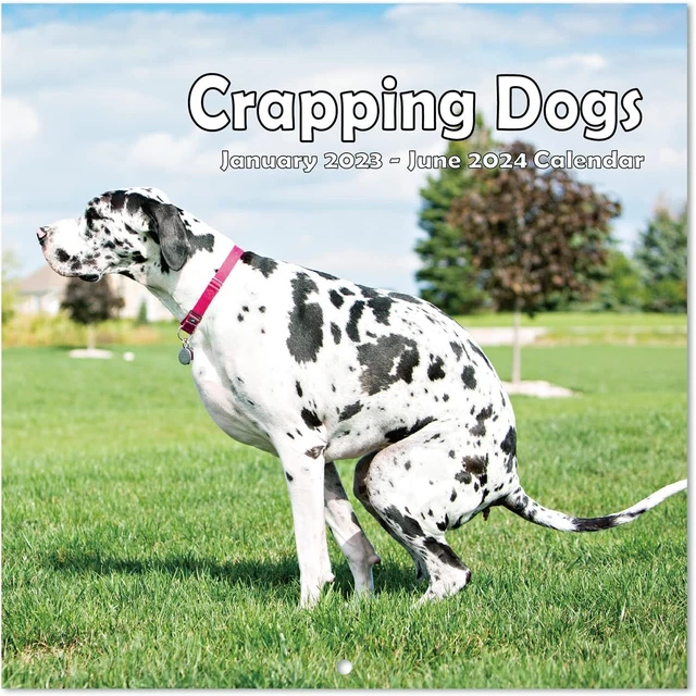 20232024 CALENDAR POOPING Dogs Wall Calendar with Thick Paper, 12" x