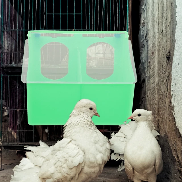 Alimentador Colgante Loro Multi-rejilla Pájaro Alimentador de Vegetales Plástico Resistente al Desgaste