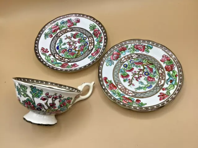 cups & 2 saucers - INDIA TREE by COALPORT (England)