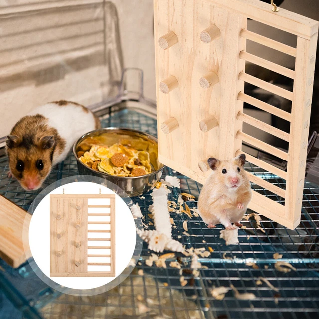 Giocattolo criceto parco giochi piattaforma liscia per gattini accessori per bambini legno di pino