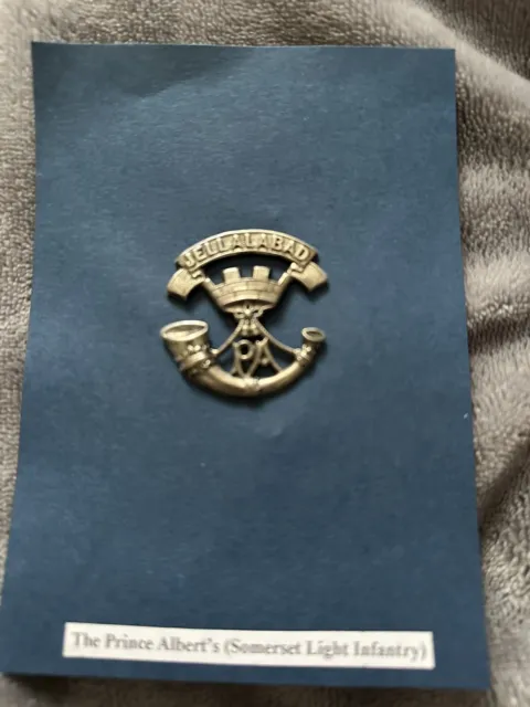 Prince Alberts Somerset Light Infantry Cap Badge