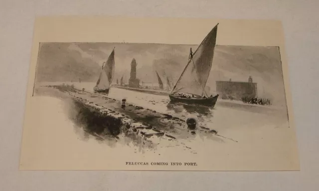 1895 Rivista Incisione ~ Feluccas Arrivando Dentro Porta