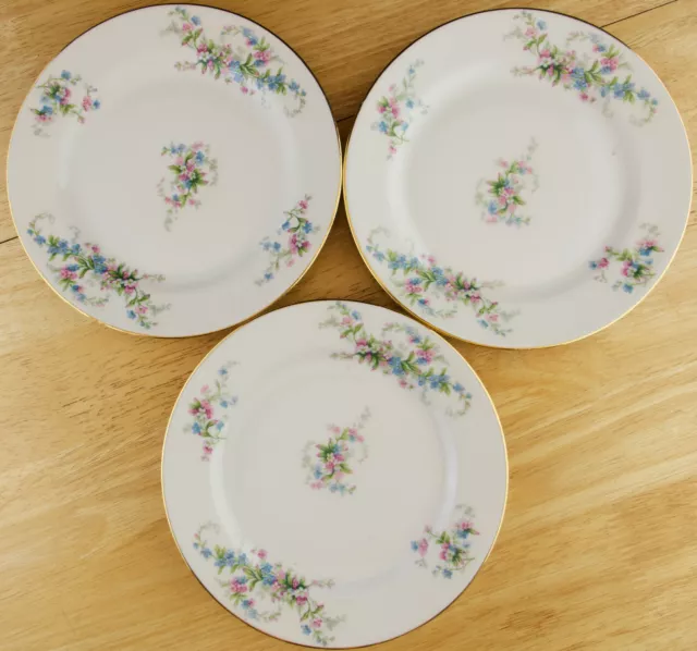 Limoges France Set of 3 Salad Plates Pink Blue Floral Gold Trim Bawo & Dotter #1