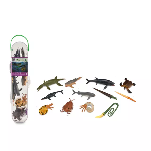 CollectA Collectible Prehistoric Marine Figures Tube Gift Set of 12 Ages 3+
