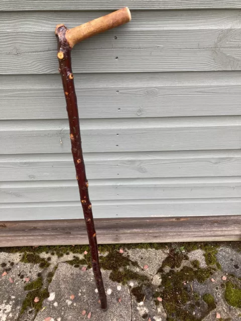 walking sticks