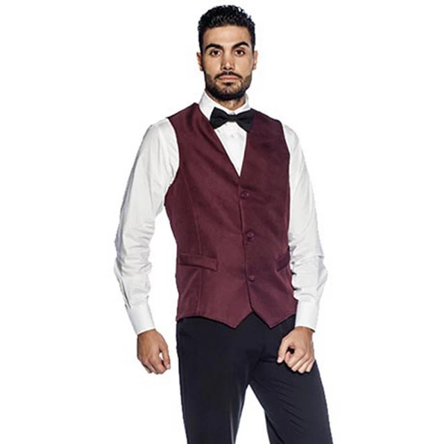Gilet Panciotto Uomo Lavoro Business Elegante Cameriere Bar Ristorante Sala