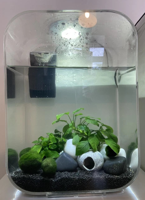 biorb life 15l fish tank custom