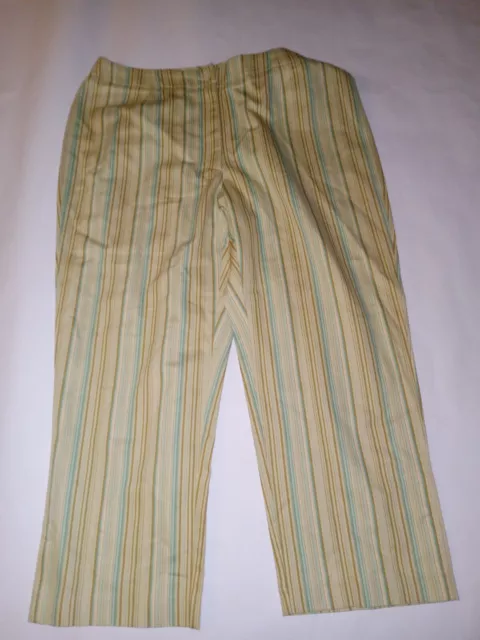 Liz Claiborne Lizsport Petite Pants Womens 16P Teal Beige Stripes