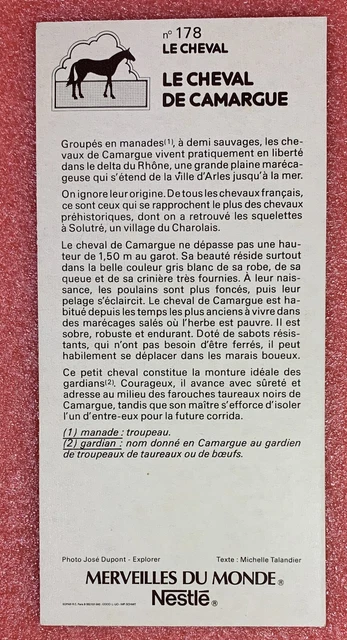 Pin's Collection Fina Cheval Camargue - Vintage Publicitaire - Fabriqué En Grèce