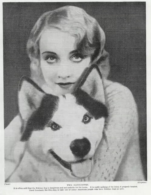 American Eskimo / Carol Lombard - 1934 Vintage Dog Art "Photo" Print - MATTED