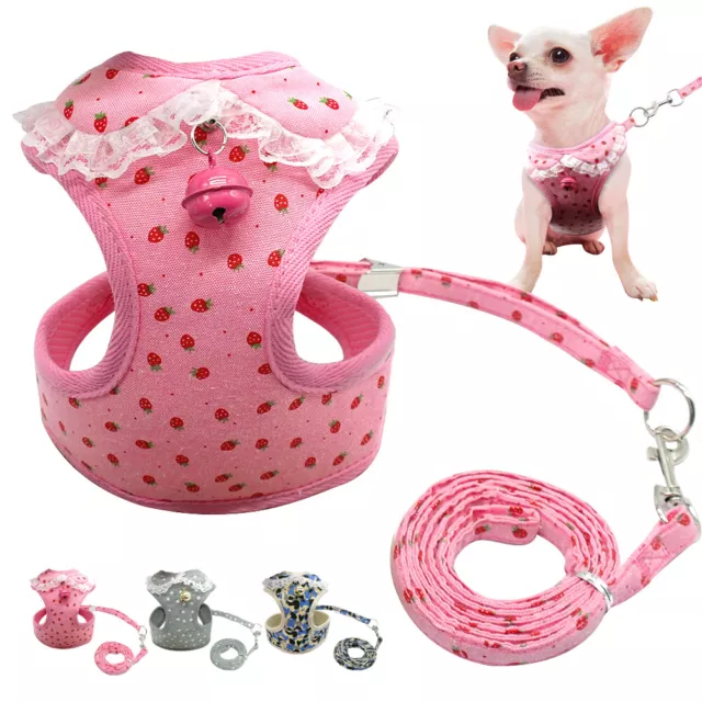 Cute Pet Harness and Leash for Small Medium Dog Cat Lace Girl Walking Vest S-XL