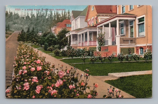 Rose Walk Houses DB 1910s Portland Oregon Postcard