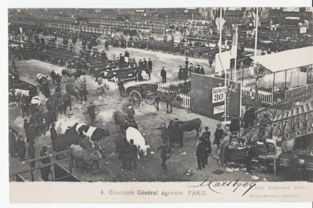 CPA PARIS AGRICULTURE Concours Général Agricole CATTLE Beefs Cows 1909 animated