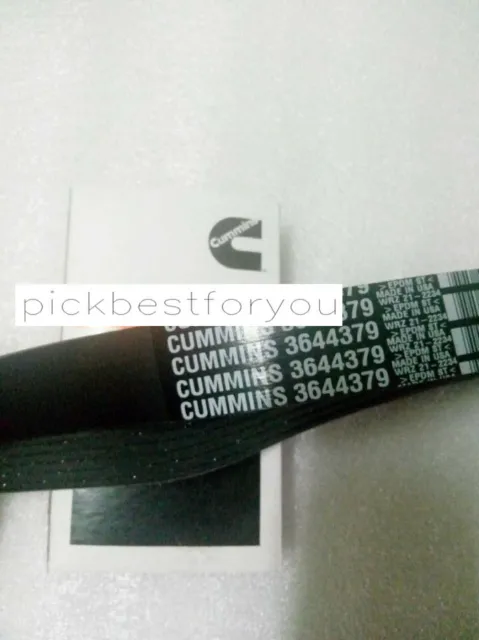 1PCS New 3644379 Fan Belt For Cummins Engine #M01C QL