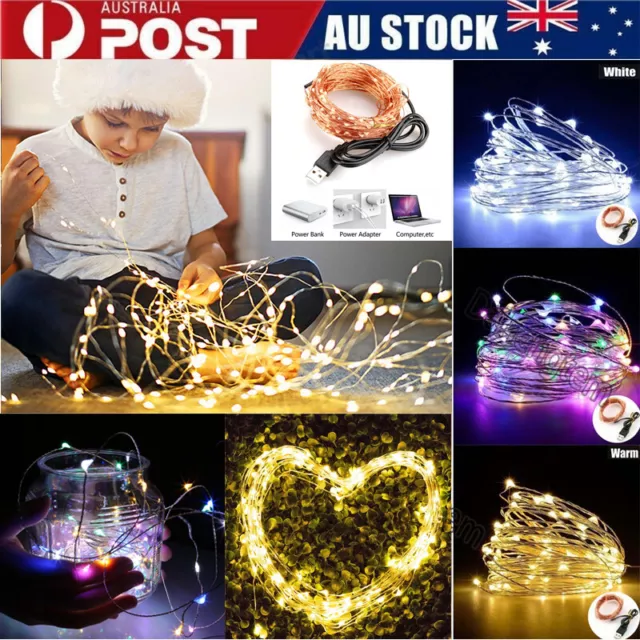 100-500 LEDs USB Powered Copper Wire String Fairy Lights Christmas Wedding Party