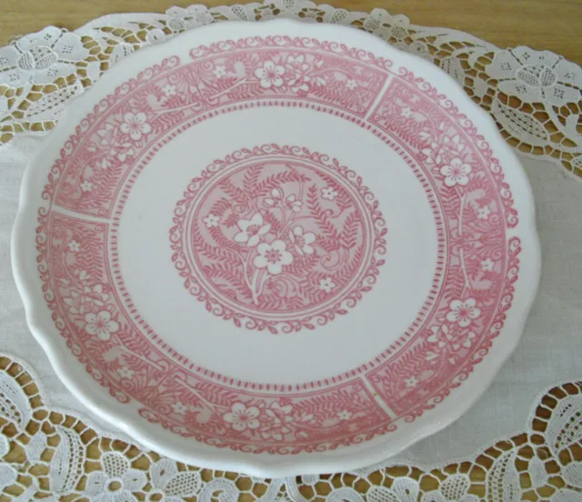 Vintage Syracuse China RESTAURANT Strawberry Hill 8 3/8" Plate ~