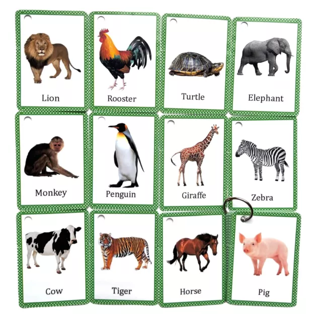 Animal Flash Cards Children's Toddlers  Educational Pre School Learning