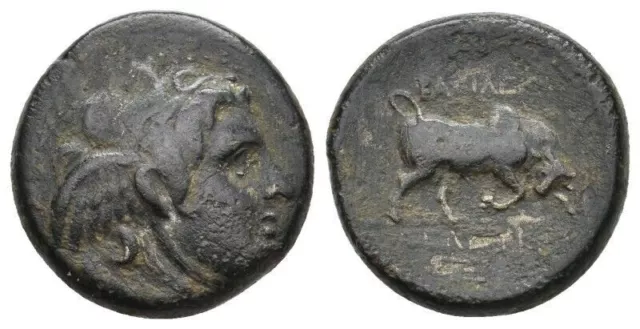 Ancient Greek Coin Bronze Coin - Seleukos I Nikator (312-281 BC) Medusa and Bull