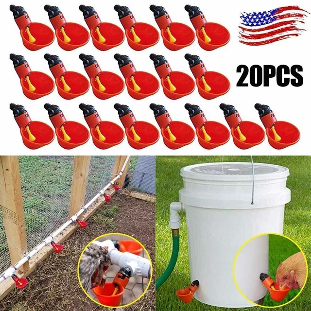 20pcs Poultry Water Drinking Cups Chicken Hen Quail Plastic Automatic Drinker US