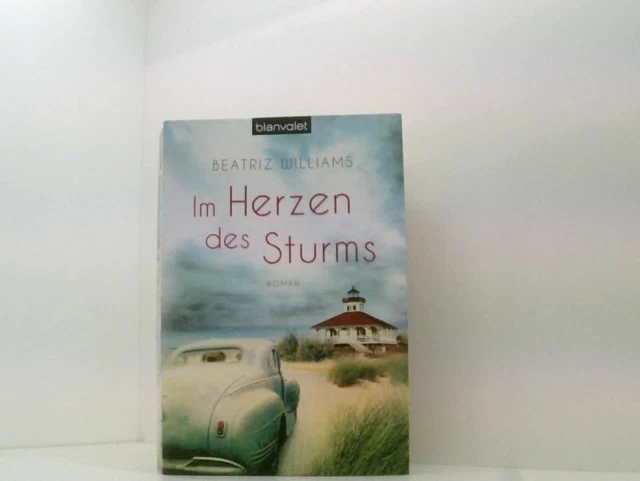 Im Herzen des Sturms: Roman (Die East-Coast-Reihe, Band 1) Roman Williams, Beatr