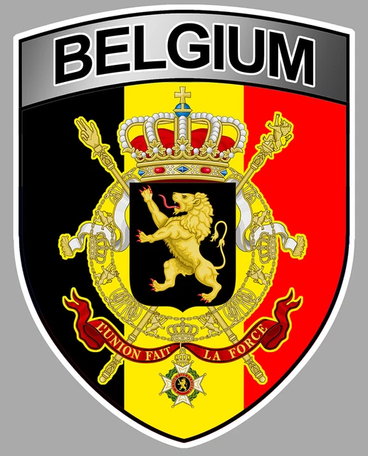 Roumanie Drapeau National Autour De Licône Brillante Insigne Roumain Gm1216034950 354434521