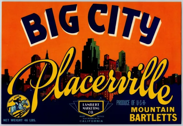 Big City Placerville Bartletts Vintage Original Paper Fruit Crate Label Skyline