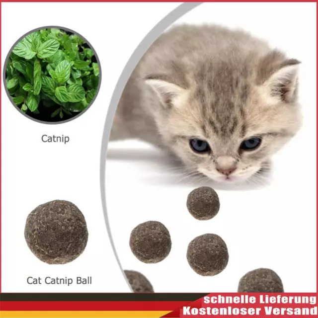 Katzen natürliche Minze essbarer Ball Kätzchen interaktives Biss-Katzenminze-Spi