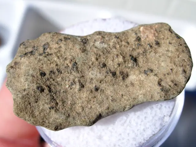 5.30 grams 30x16x6mm Amgala 001 as found Martian Shergottite Mars Meteorite COA
