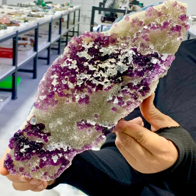 4.09lbNatural  purple cubic fluorite cluster mineral samples
