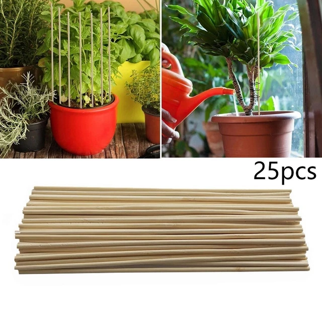 SUPVOX Lot De 16 Pinces à Plantes En PVC Blanches - Solides Et Légères Pour Cadres De Serre, Bâches Et Jardin