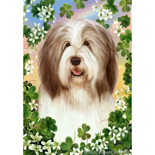 Clover House Flag - Brown and White Bearded Collie 31482