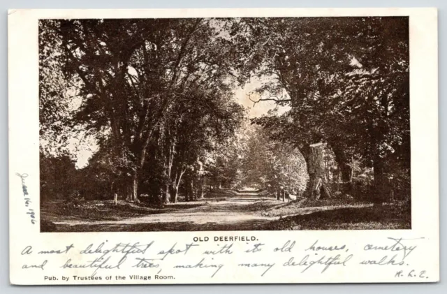Old Deerfield MA~Delightful Spot & Walks~Old House~Cemetery~Beautiful Trees 1906