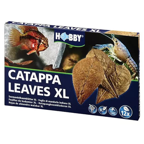 HOBBY Catappa Feuilles XL - 12 Pièce, Neuf