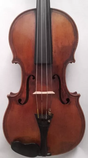 Old French Violin Inspired by Brescian School
