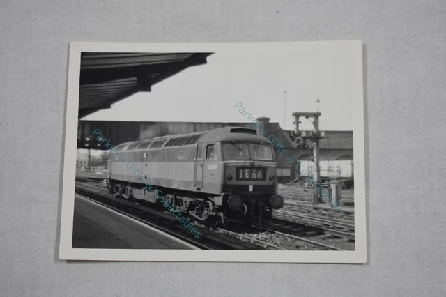 TRAIN PHOTOGRAPH OF Railway Locomotive No D1686 British (C1) £3.51 ...
