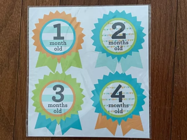 New Gymboree Boy Blue Age Month Milestone Stickers 1 to 12 months New in Package