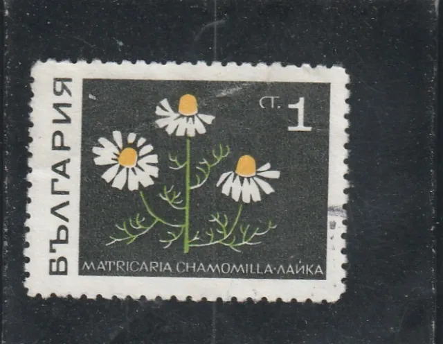 L5855 BULGARIE timbre N° Y&T 1647 de 1968 " Camomille " Oblitéré