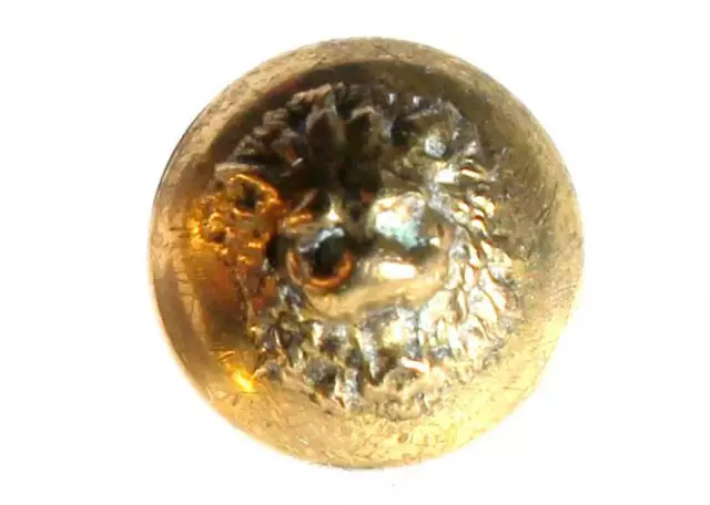 TRES RARE BOUTON / BUTTON UNIFORME ANCIEN - TETE DE LOUP - BOMBÉ DORÉ - D:14mm