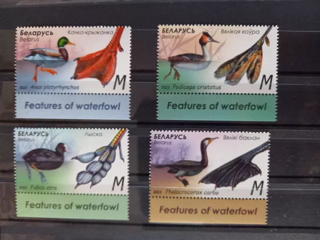 Briefmarken Wasser Vögel Features of waterfowl Birds 2023 Belarus