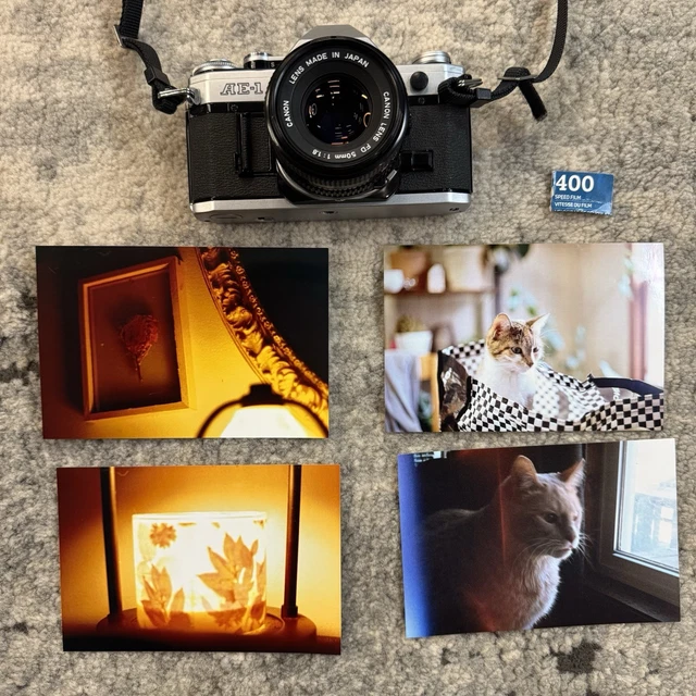 Film Cameras, Film Photography, Cameras - PicClick AU