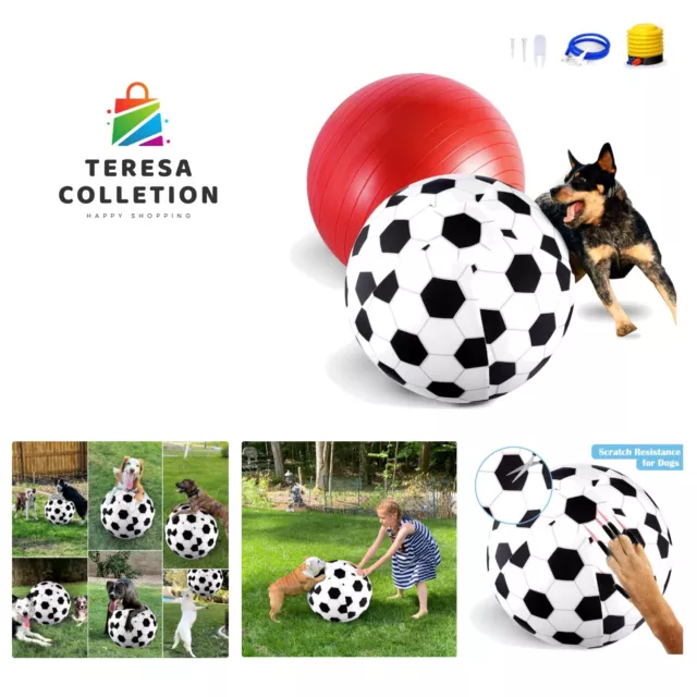 Race&Herd Herding Ball for Dogs Blue Heelers Puppies and Small Dogs, Dog  Ball & Ball Cover -18 Ball for Dog Small with Hand Pump | Dog Balls for  Play