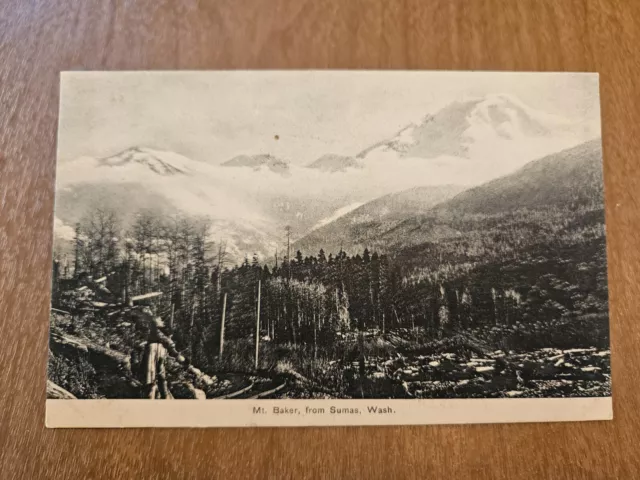 Postcard WA Washington Sumas Whatcom County Mt. Mount Baker View