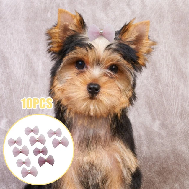 10pcs Pet Band Mini Multicolor Pink Bowknot Pet Hairband Fine Workmanship