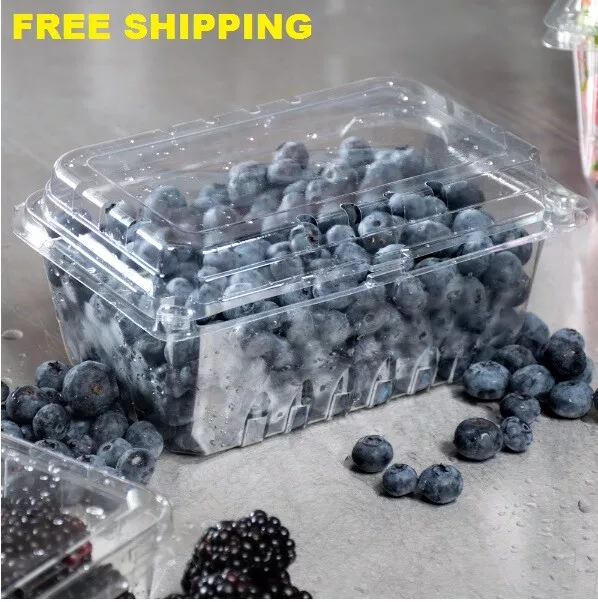 1 lb. - 352 Case Clear Square Vented Clamshell Produce Berry Container