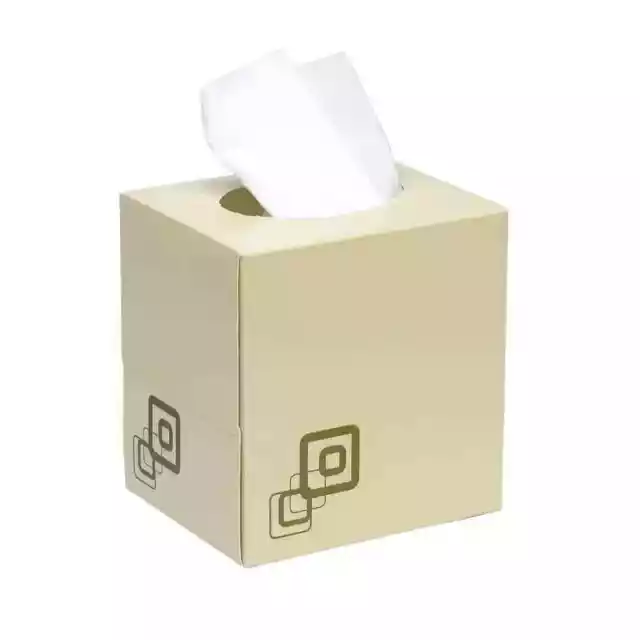 Valuex Facial Tissue Cube 2 Ply 70 Sheet White (Pack 24) 1103003