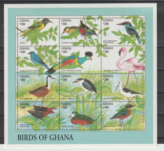 Ghana 1994 Faune Oiseaux 2°Série - 1 Bf MNH MF121823
