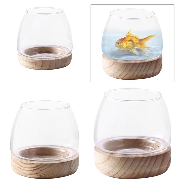 Vaso In Vetro Geometrico Per Idroponica - Triangolo In Ferro E Vetro - Decorazione Casa O Ufficio