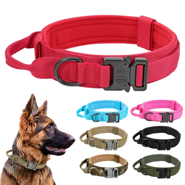 Militär Hundehalsband für Mittlere und Große Hunde Verstellbar Nylon mit Griff