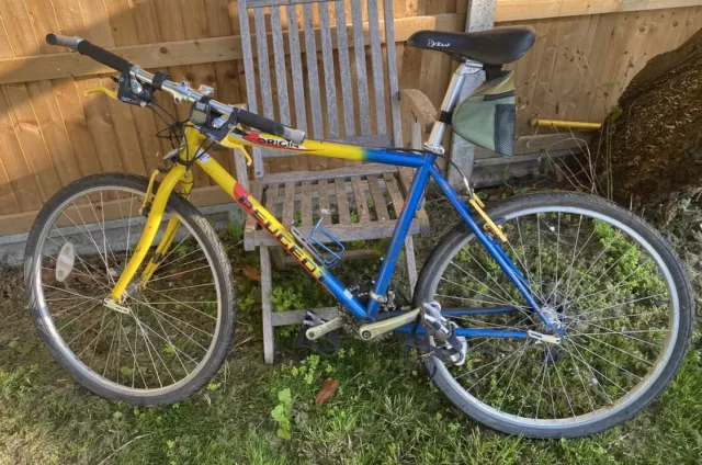Peugeot origin mountain bike hotsell